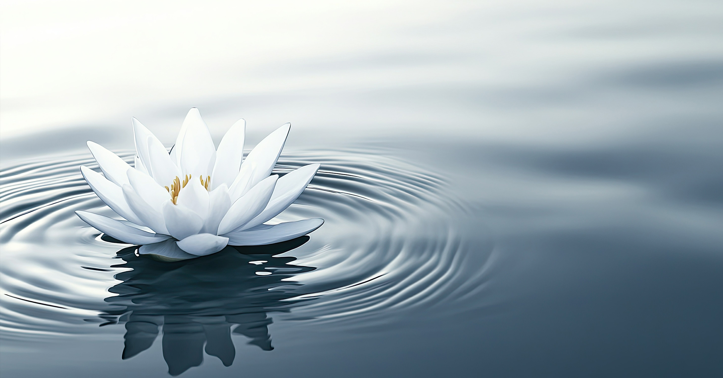 Family-Wellness-Acupuncture-The-Unique-Benefits-of-Japanese-Acupuncture