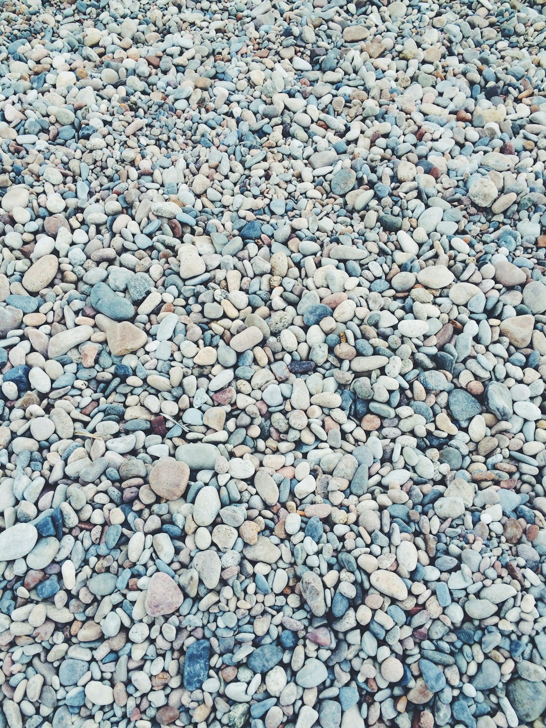 Photo by Mickey O'neil pebbles lot